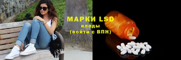 стаф Баксан