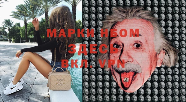 стаф Баксан